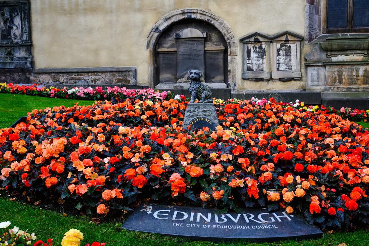 Edinburgh Private Harry Potter & History Walking Tour Image 6