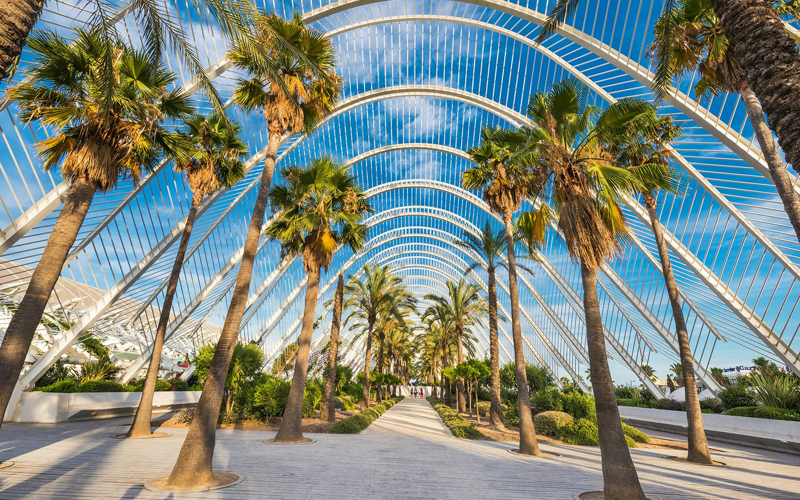 L'Umbracle in Valencia, Spain, featuring palm trees under an arched structure.