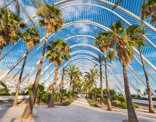 L'Umbracle in Valencia, Spain, featuring palm trees under an arched structure.