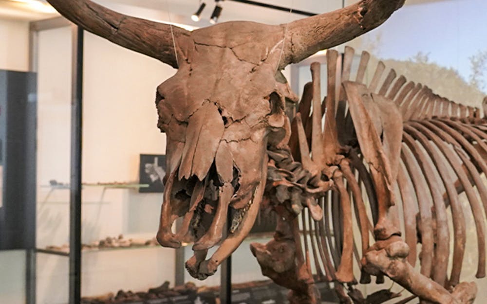 Visitors exploring exhibits at the National Museum of Denmark in Copenhagen.