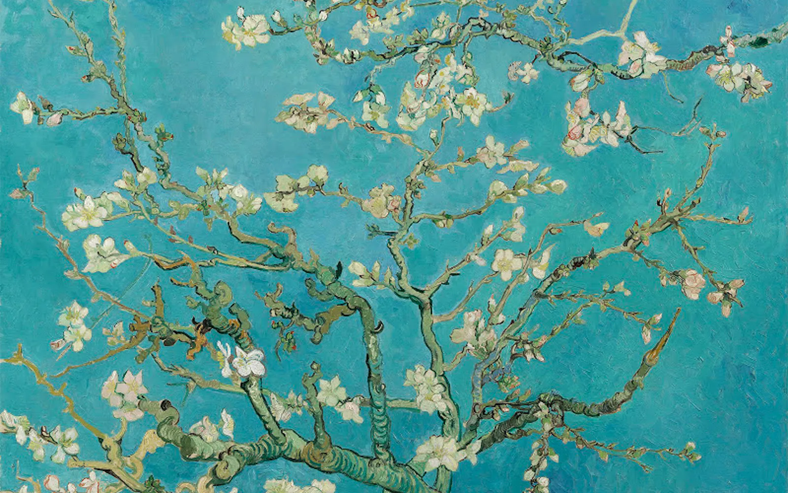 Blossoming almond tree branches against a blue sky, inspired by Van Gogh's art.