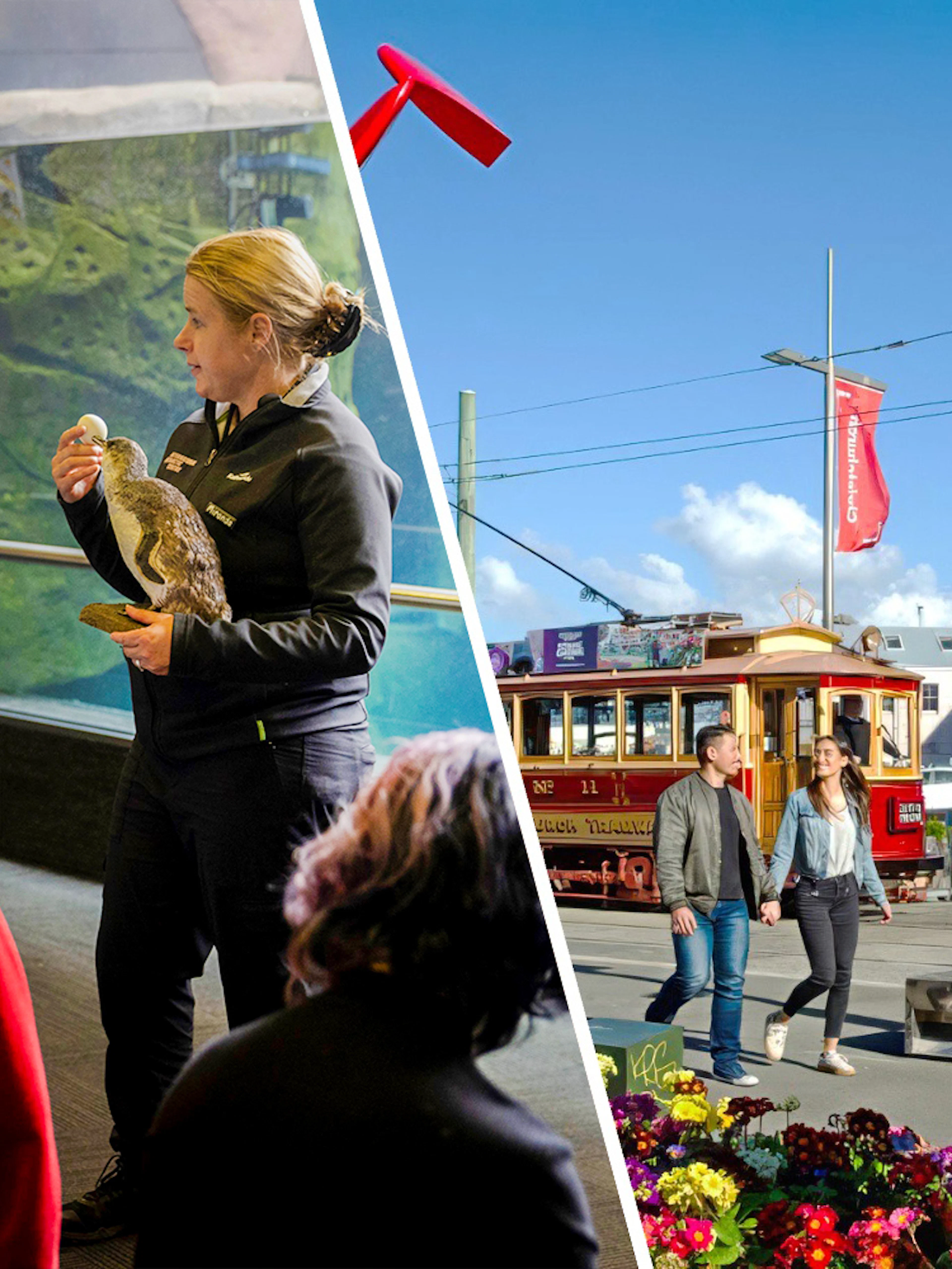 Couple walking near vintage tram in Christchurch city center.