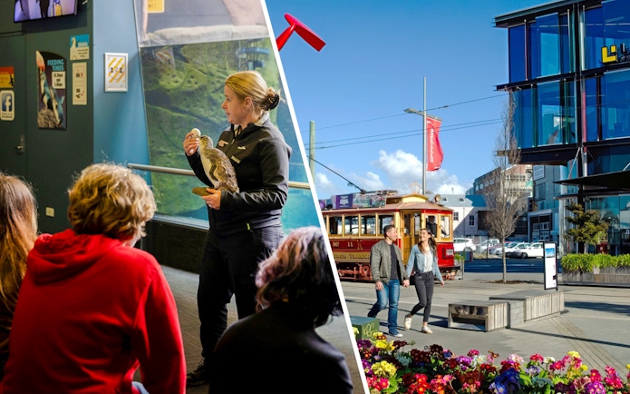 Couple walking near vintage tram in Christchurch city center.