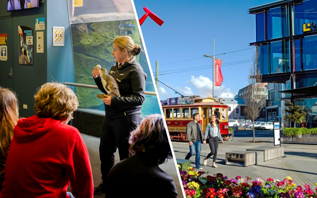 Couple walking near vintage tram in Christchurch city center.