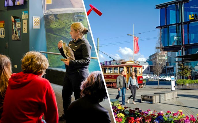 Couple walking near vintage tram in Christchurch city center.