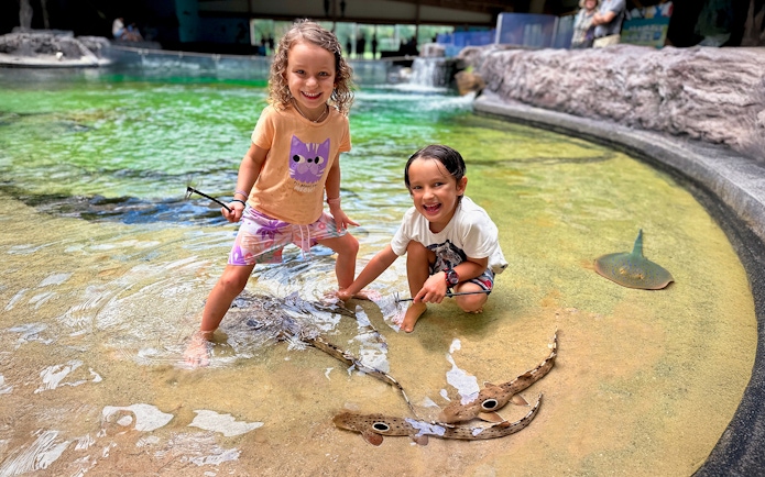 Children interacting with epaulette sharks at Irukandji Shark & Ray Encounters aquarium.