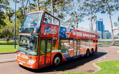 Perth sightseeing bus on tour with city skyline in background.