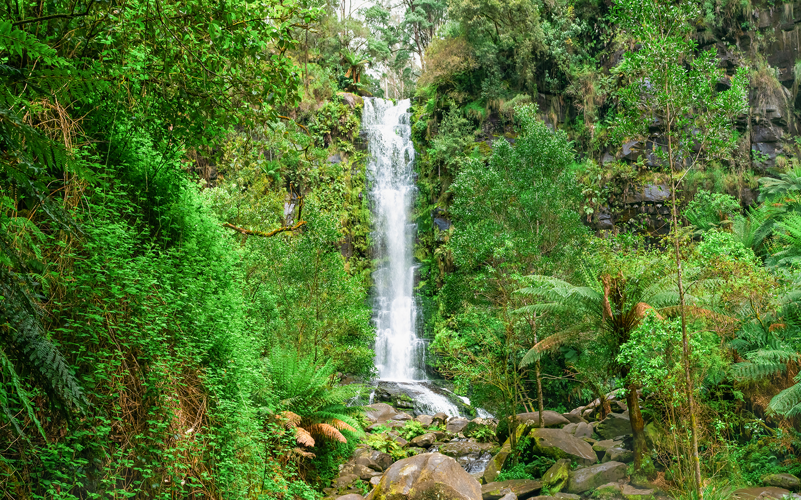 Erskine Falls cascading into lush forest along Great Ocean Road, Australia.