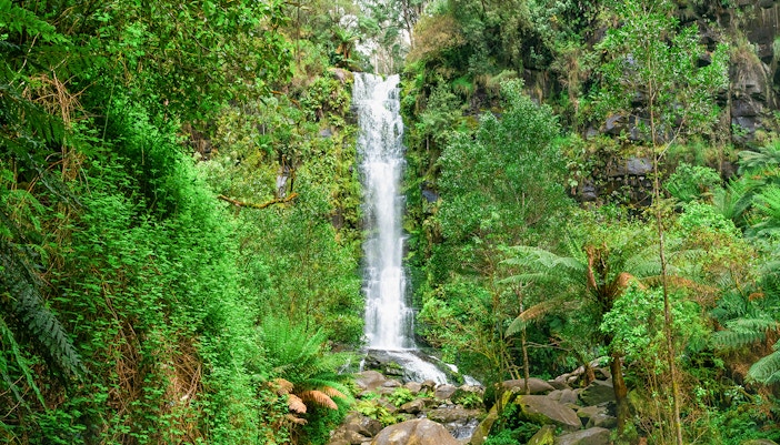 Erskine Falls cascading into lush forest along Great Ocean Road, Australia.