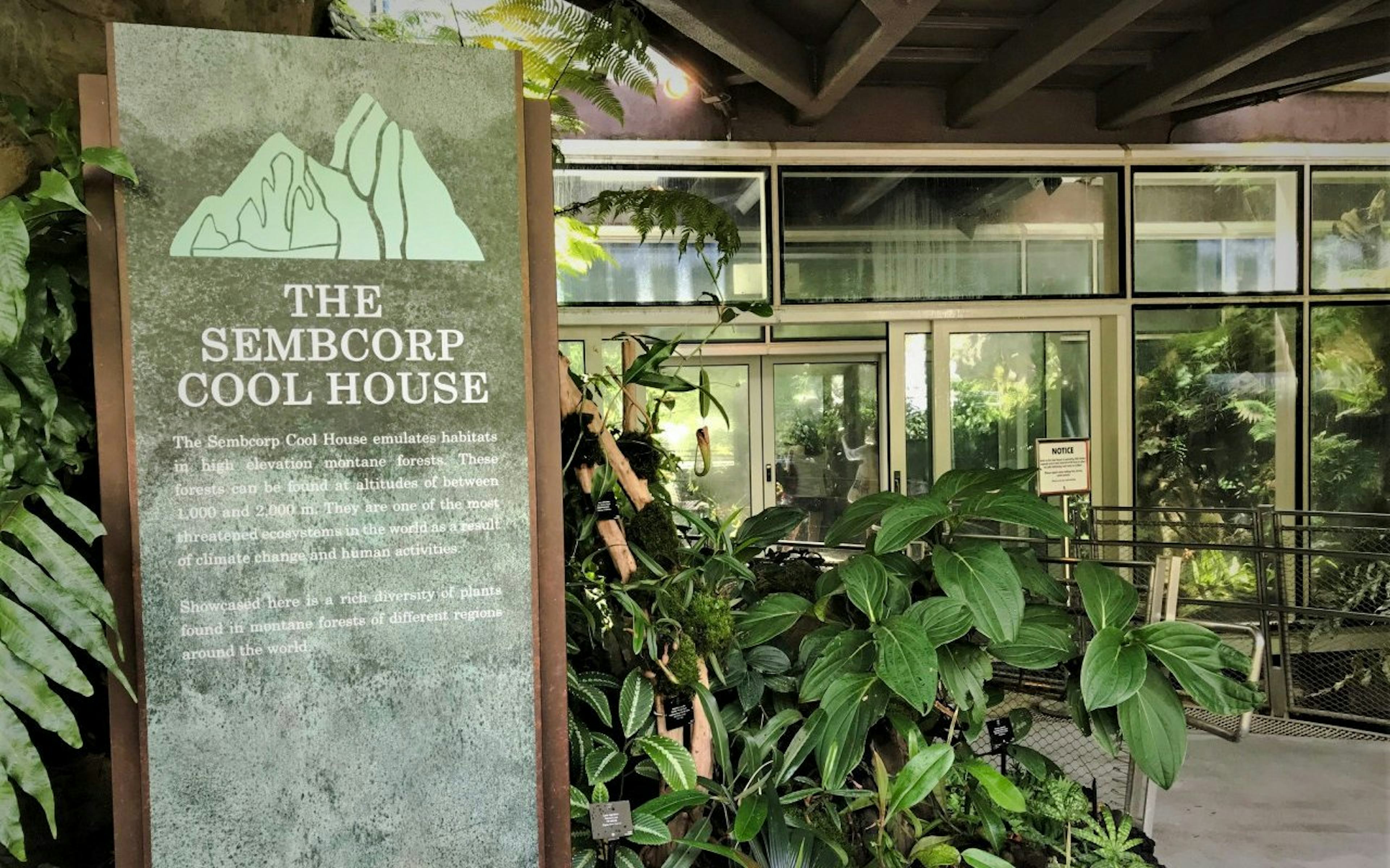 Sembcorp Cool House orchids