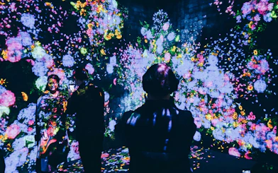 Visitors immersed in digital floral art at teamLab Borderless Museum, Tokyo.