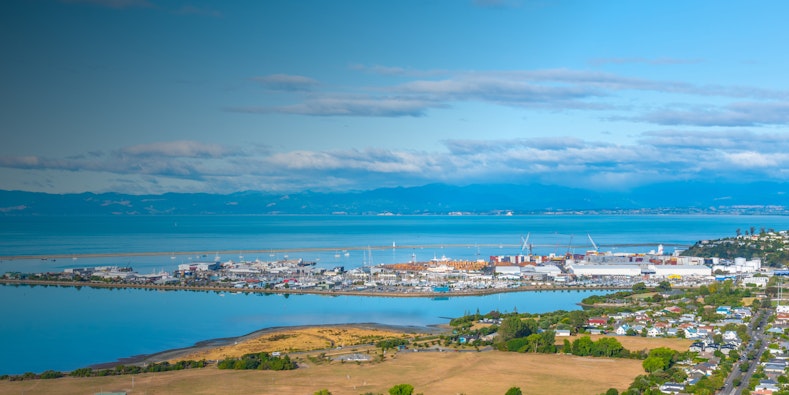 Découvrez les meilleures choses à faire à Nelson