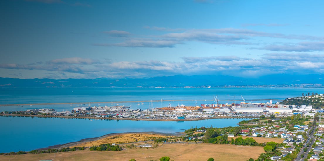 Nelson gezisinde yapılacak en iyi aktiviteleri keşfedin