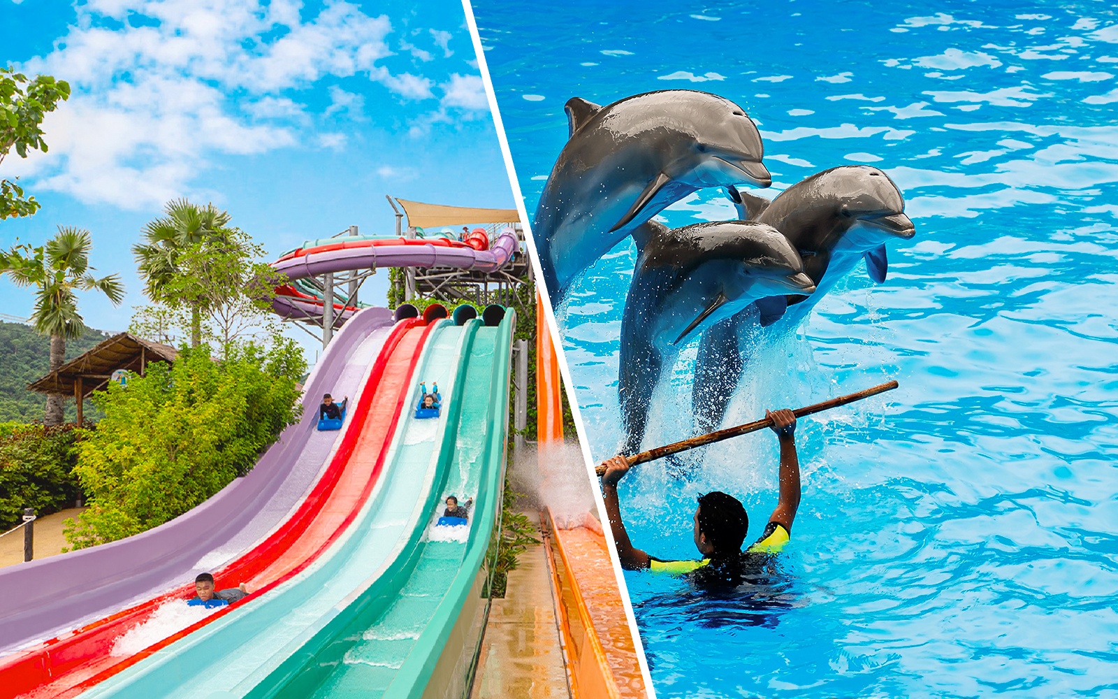 Water slides and dolphin show at Ramayana Water Park, Thailand.