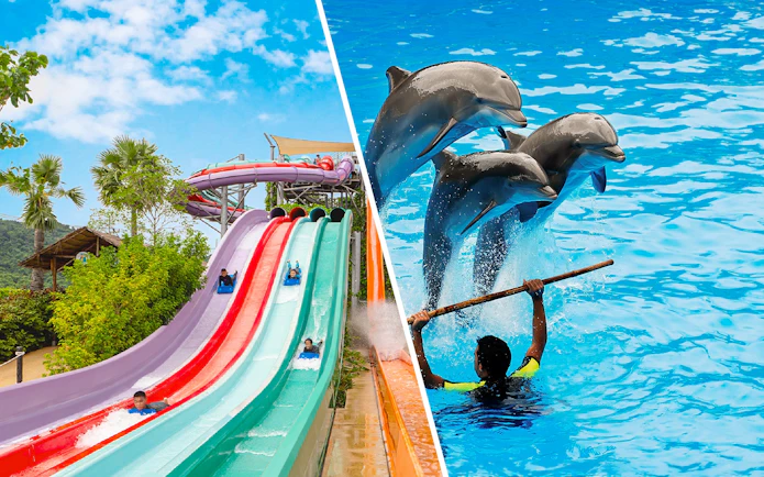 Water slides and dolphin show at Ramayana Water Park, Thailand.