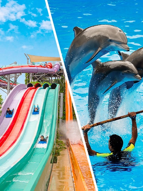 Water slides and dolphin show at Ramayana Water Park, Thailand.