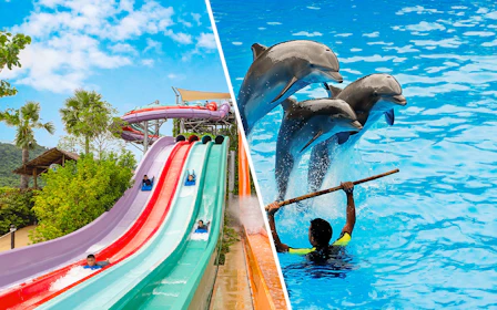 Combo: Dolphinarium Pattaya + Ramayana Water Park Tickets (Non-Thai Residents)