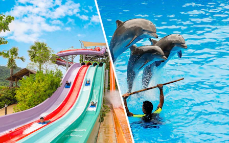 Combo: Dolphinarium Pattaya + Ramayana Water Park Tickets (Non-Thai Residents)