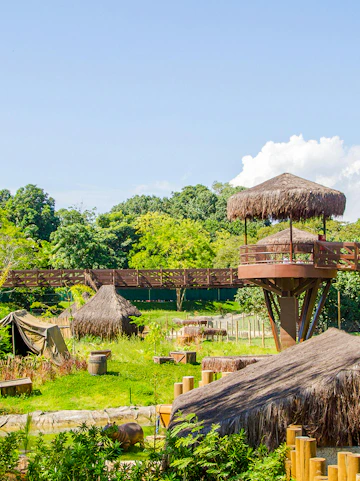 Rio De Janeiro Biopark with wooden walkways and thatched structures in Brazil.