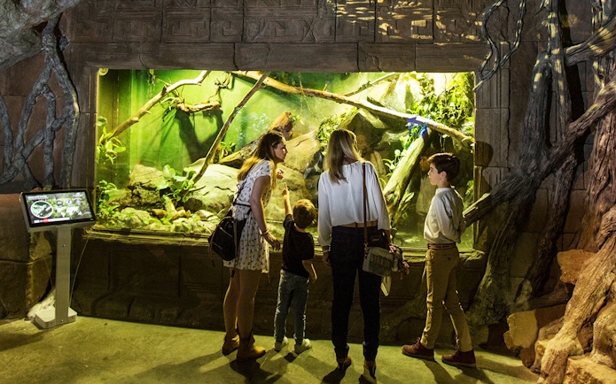 Visitors observing jungle-themed aquarium exhibit at Seville Aquarium.