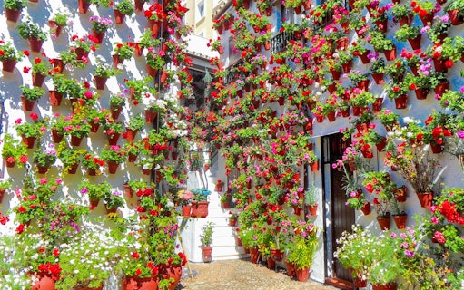 Patios of Cordoba adorned with vibrant flower pots on white walls.
