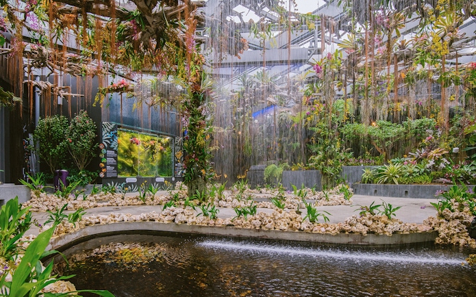 Gardens by the Bay's Floral Fantasy with lush plants and cascading water features.
