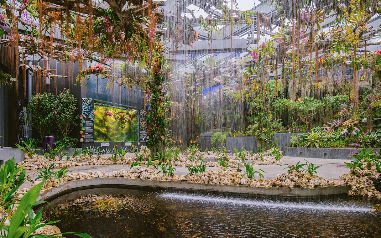 Gardens by the Bay's Floral Fantasy with lush plants and cascading water features.