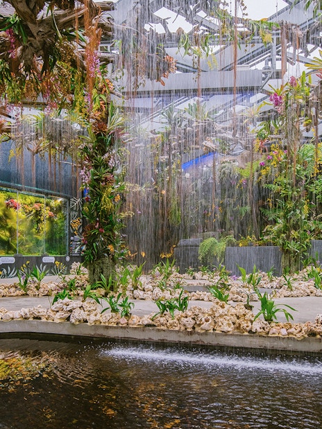 Gardens by the Bay's Floral Fantasy with lush plants and cascading water features.