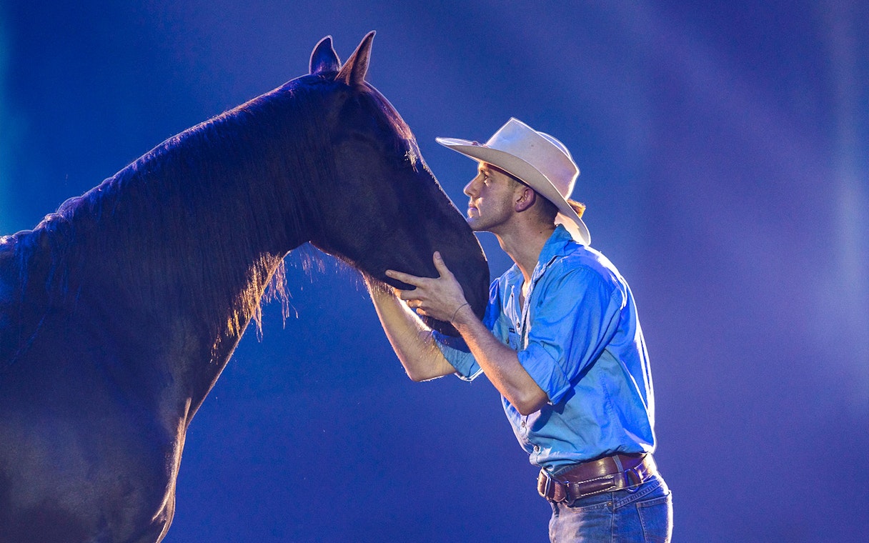 Cowboy interacting with a horse during the Australian Outback Spectacular Heartland Dinner & Show.