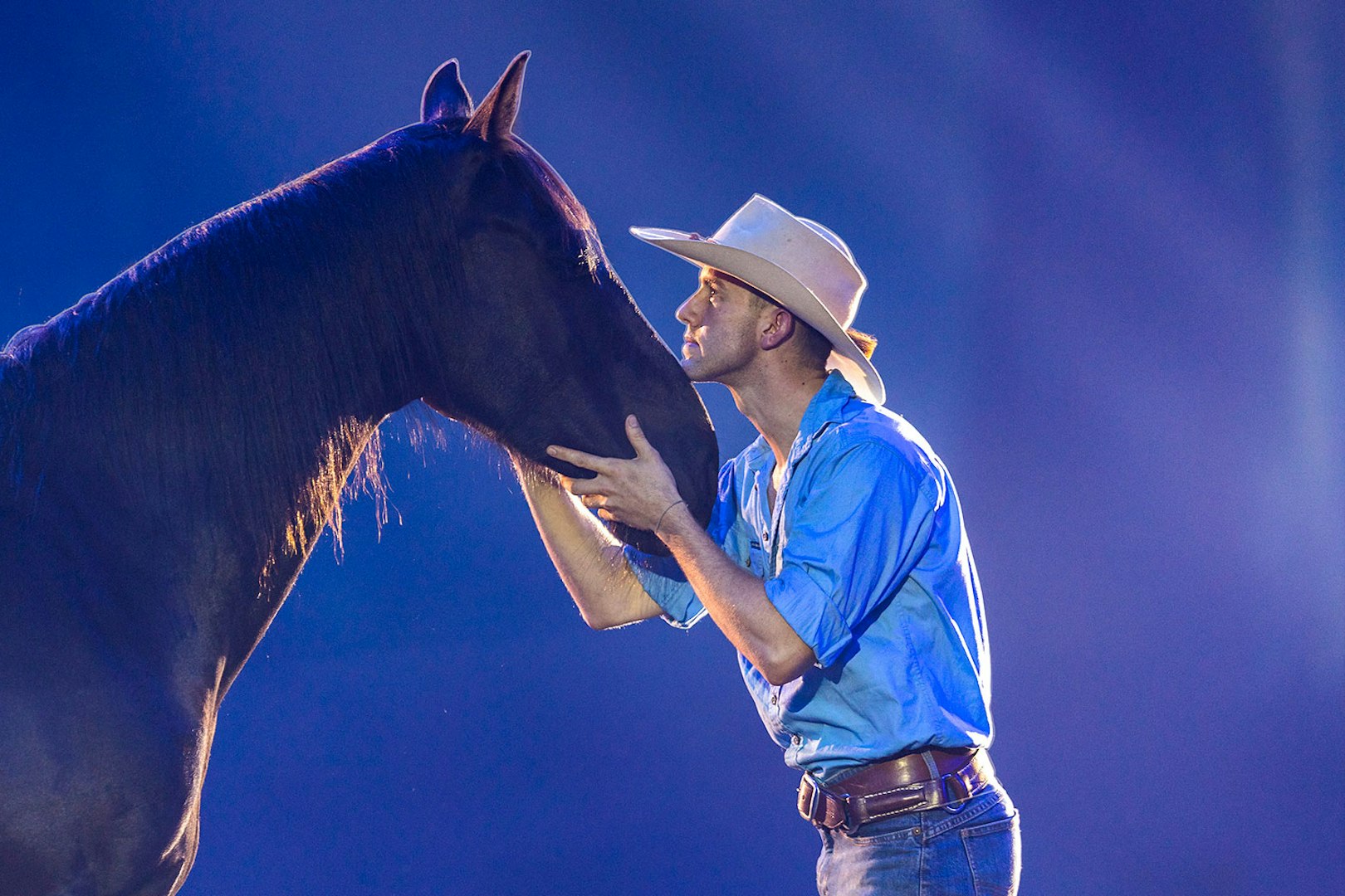 Cowboy interacting with a horse during the Australian Outback Spectacular Heartland Dinner & Show.