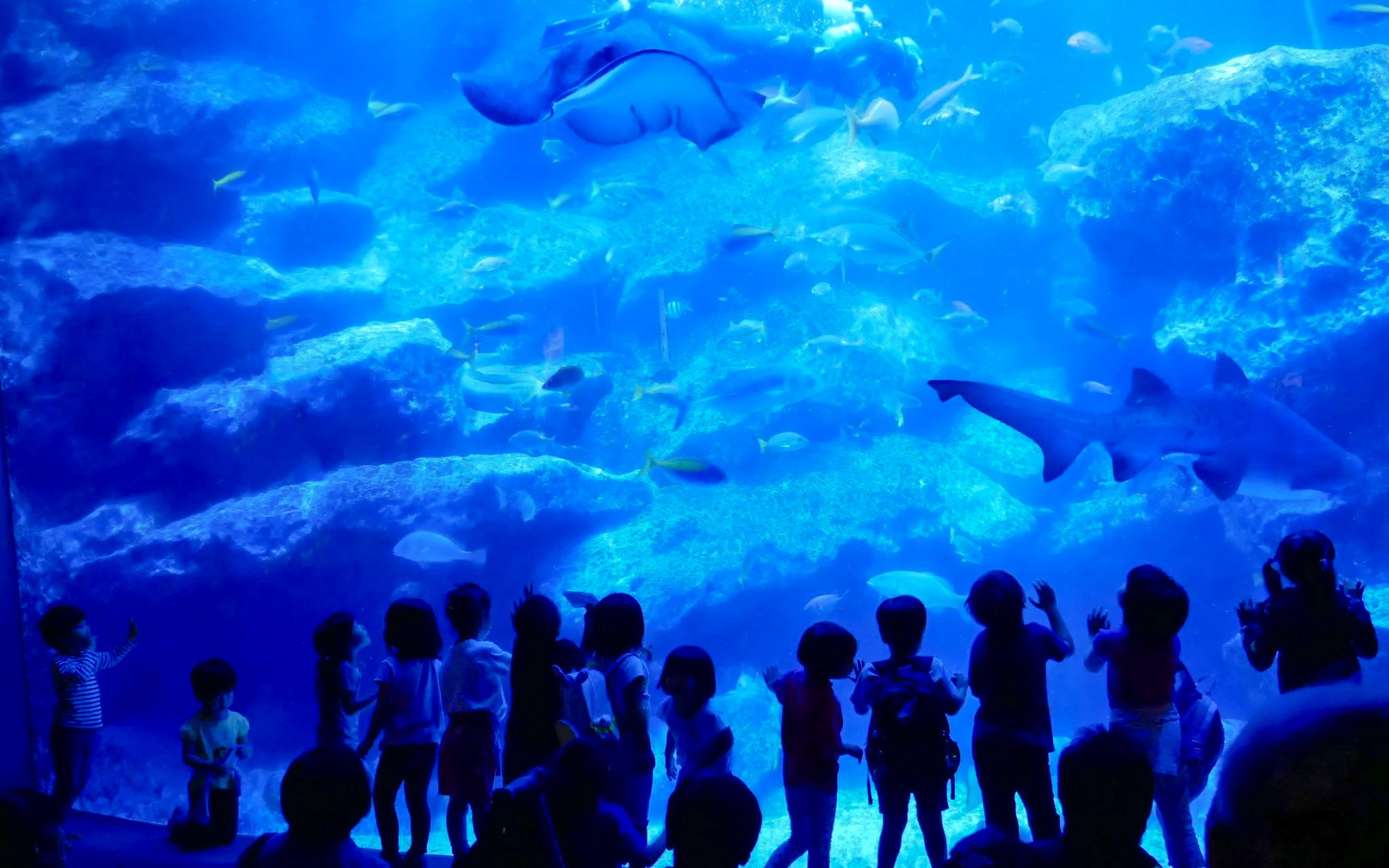 Children observing marine life at Sumida Aquarium, Tokyo.