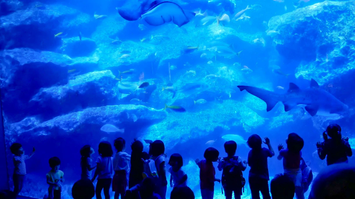 Children observing marine life at Sumida Aquarium, Tokyo.