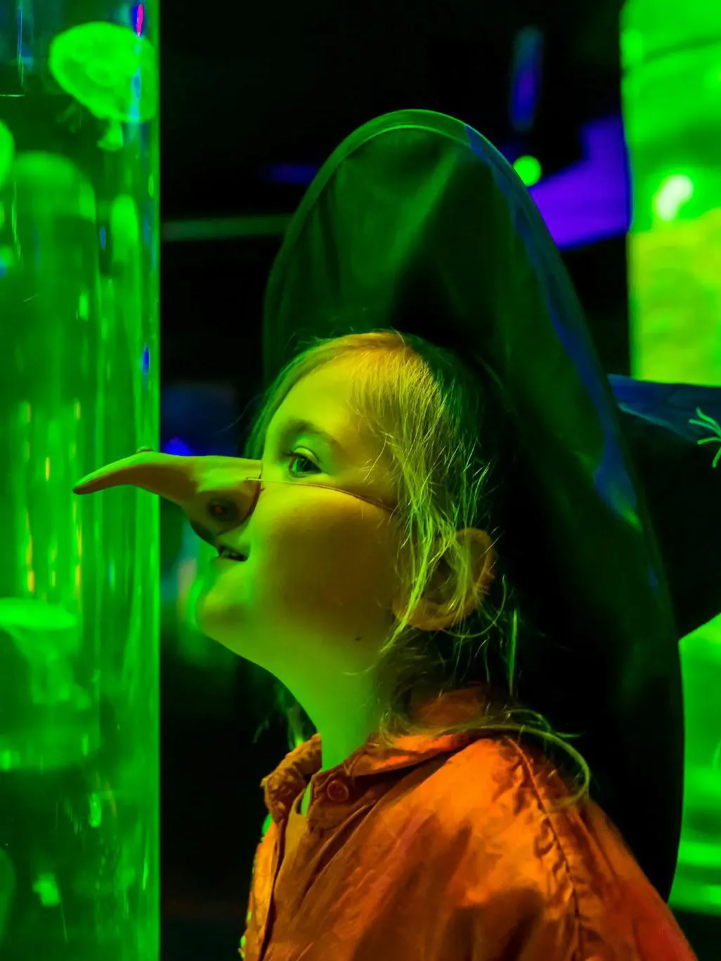Sea Life Scheveningen