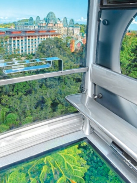 Interior view of a Singapore cable car with cityscape and greenery outside.