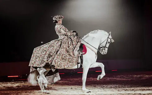 equestrian show-1