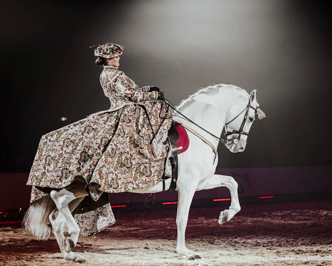 Equestrian Show