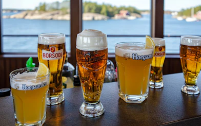 Glasses of beer on a cruise with Stockholm archipelago view.