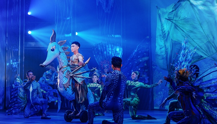 Varuna Underwater Show