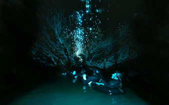 Visitors floating in Okohua Glowworm Cave, illuminated by glowworms, Waitomo Experience.