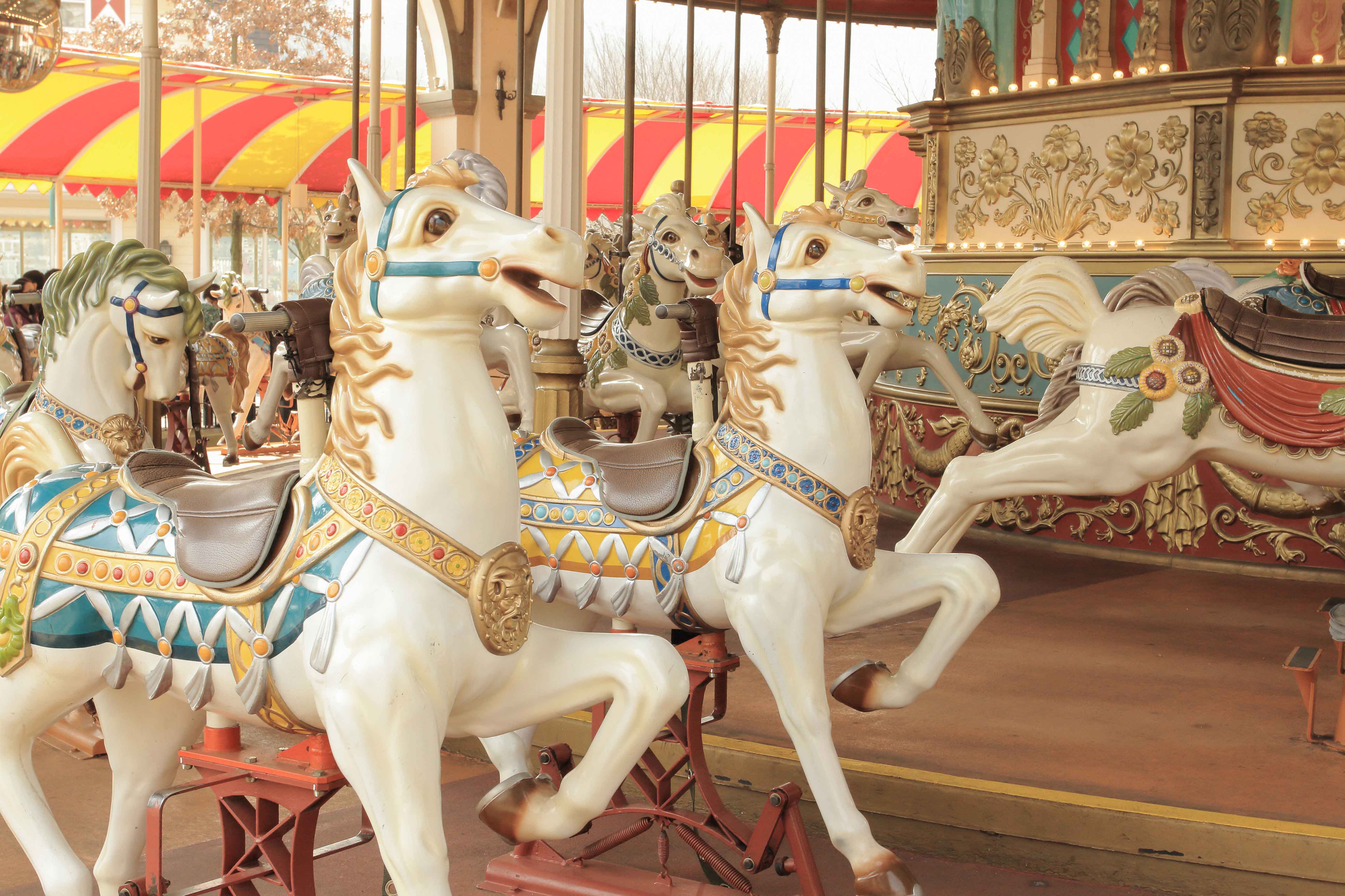 Everland Seoul tickets - Rides