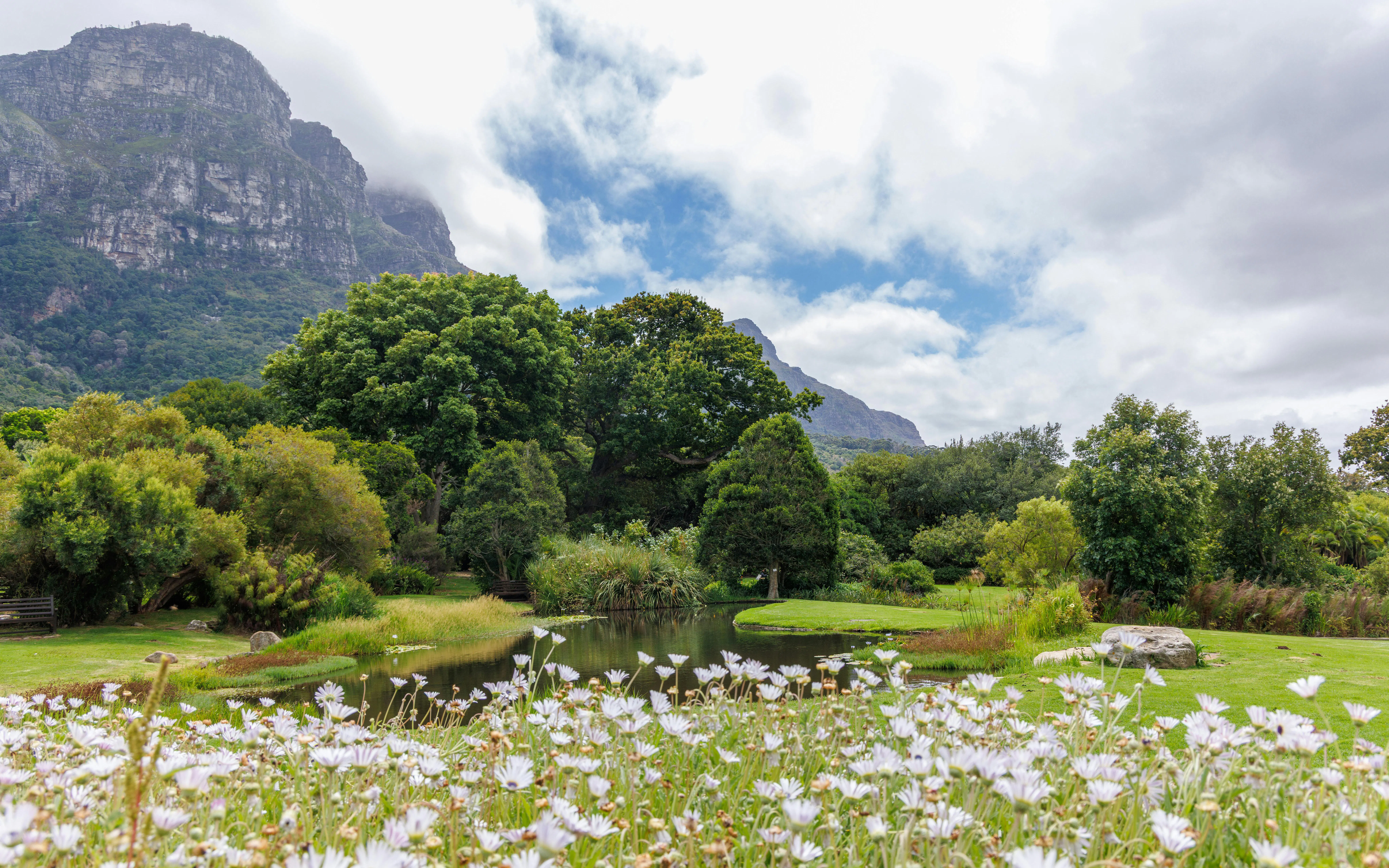 Cape Town Botanical Garden with mountain backdrop and blooming flowers.