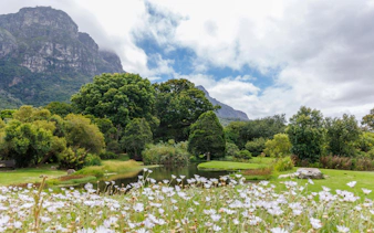 Cape Town Botanical Garden with mountain backdrop and blooming flowers.