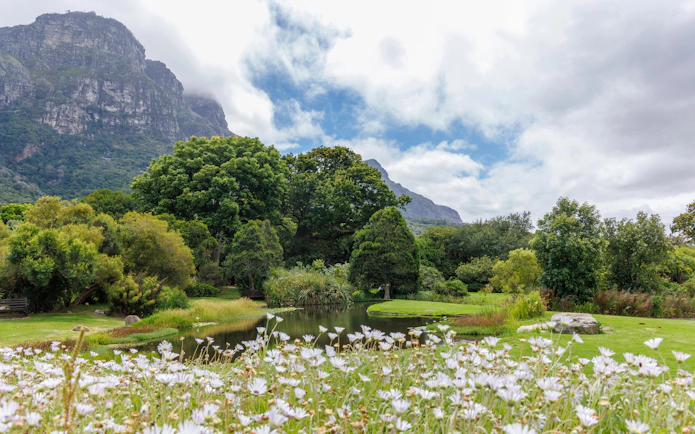 Cape Town Botanical Garden with mountain backdrop and blooming flowers.