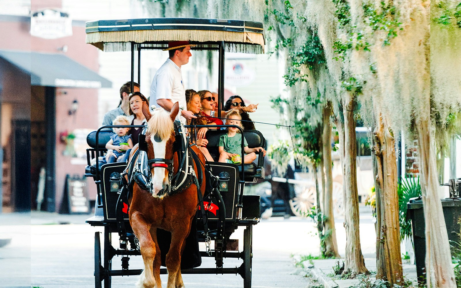 Charleston horse-drawn carriage tour with tourists under Spanish moss trees.
