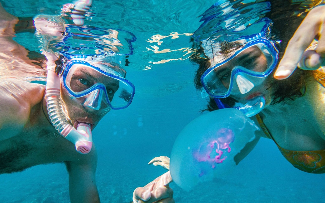 Snorkelers observing jellyfish in Red Sea, Orange Bay, Hurghada.