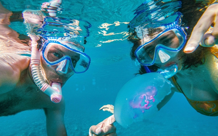 Snorkelers observing jellyfish in Red Sea, Orange Bay, Hurghada.