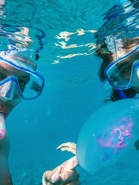 Snorkelers observing jellyfish in Red Sea, Orange Bay, Hurghada.