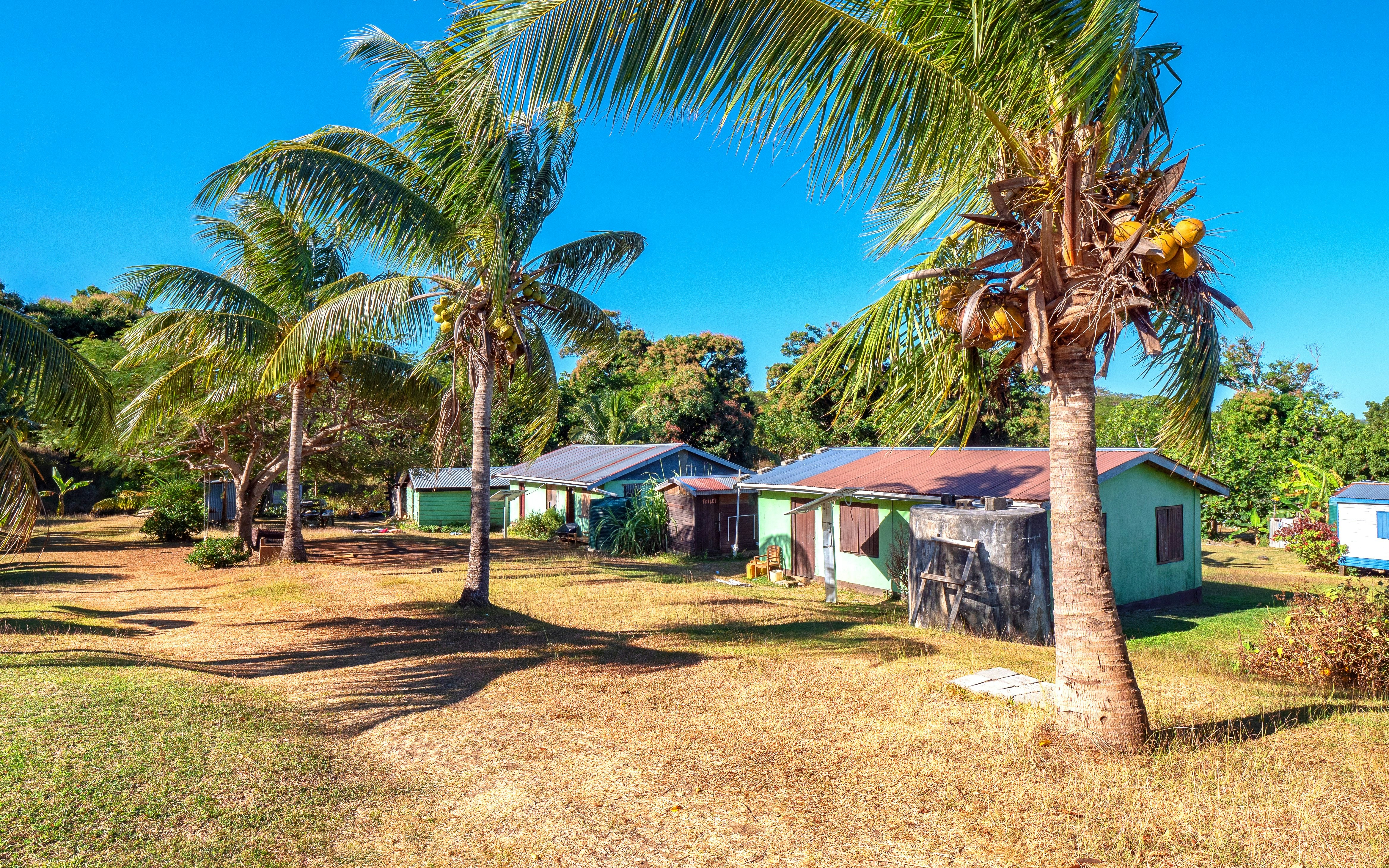 Fijian village with palm trees and traditional houses.