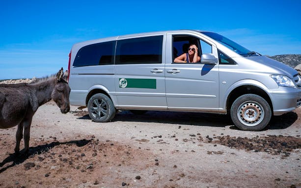 Van and donkey at Asinara National Park during guided tour from Stintino.