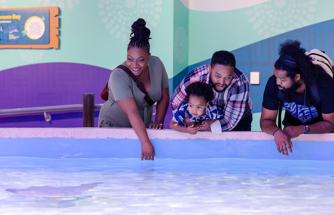 Visitors exploring marine life at Explorer's Cove, Georgia Aquarium.